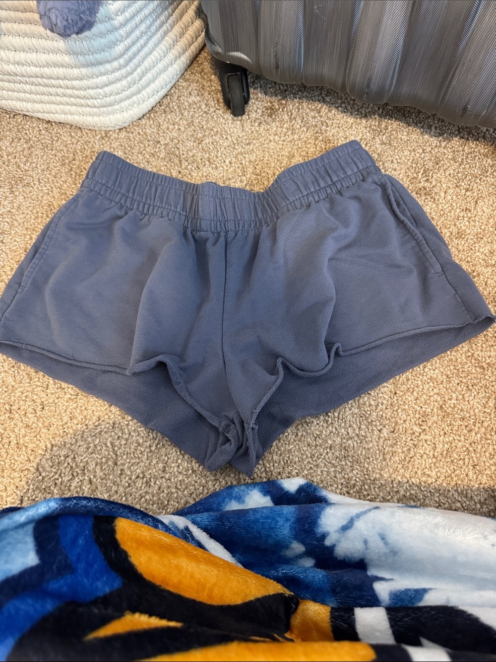 Wild Fable blue sweatshorts